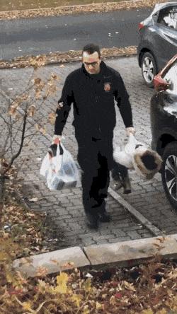 稀奇古怪形态各异的动物照片,世界上罕见的多头多脚变异动物