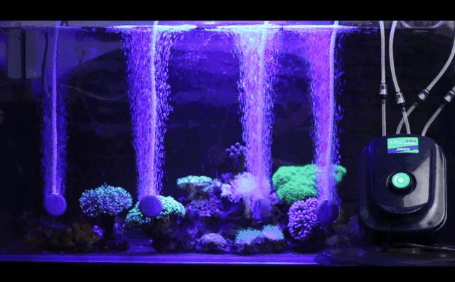 小鱼缸氧气泵需要一直开着吗,鱼缸需要一直开着氧气泵吗