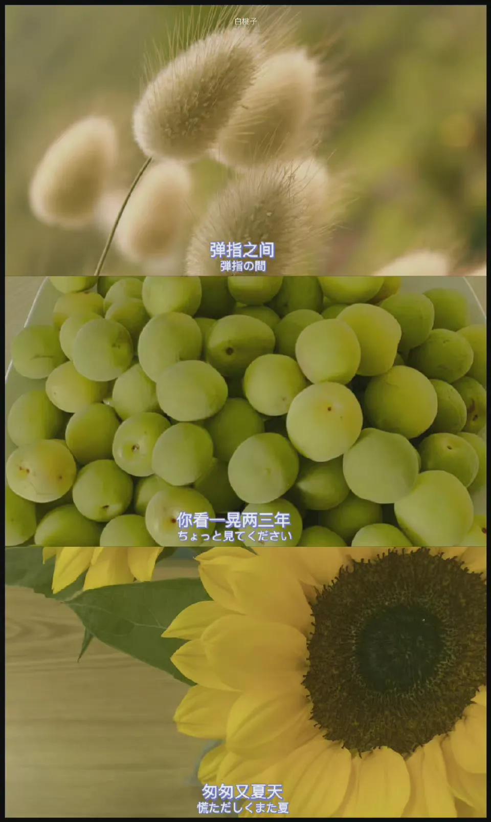 夏天风景壁纸高清全面屏,夏天图片唯美风景壁纸