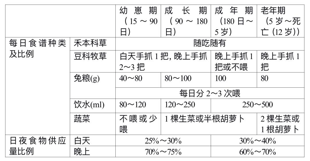 你知道兔子吃西瓜吗,你知道小兔兔吃的是什么吗