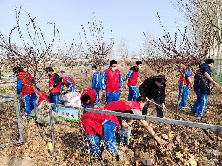 九中社会实践活动记录,四年级寒假劳动实践活动记录