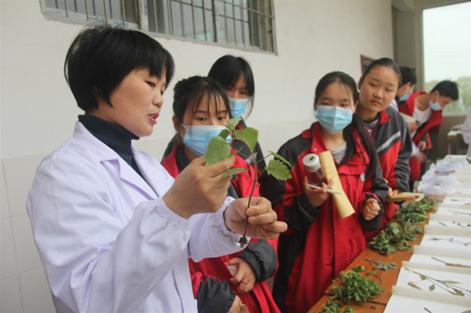 疫情之下保健品行业,疫情之下中医药的发展状况