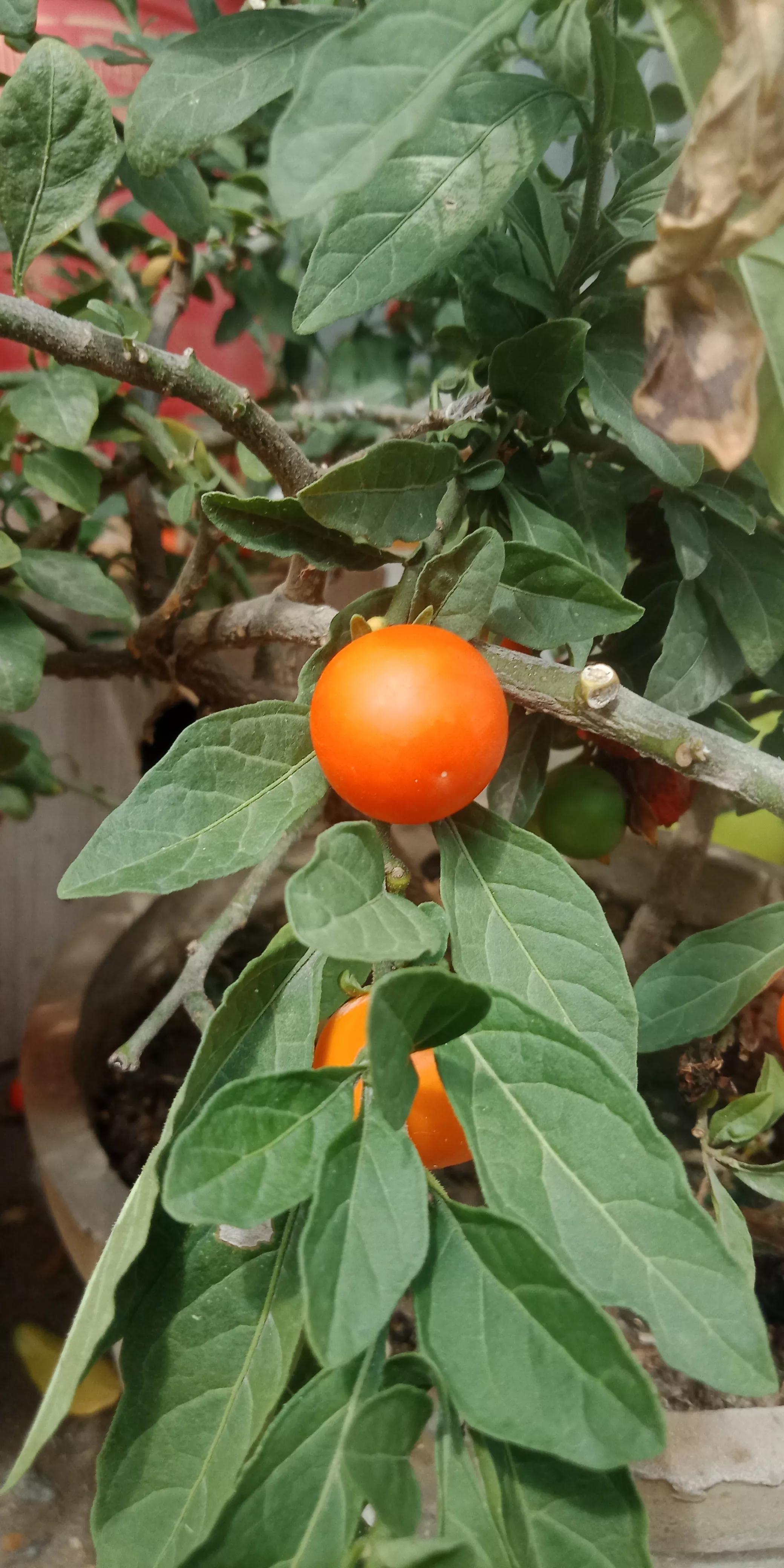 房屋漏水房顶需要怎么改造,旧房改造后楼顶漏水找哪里处理