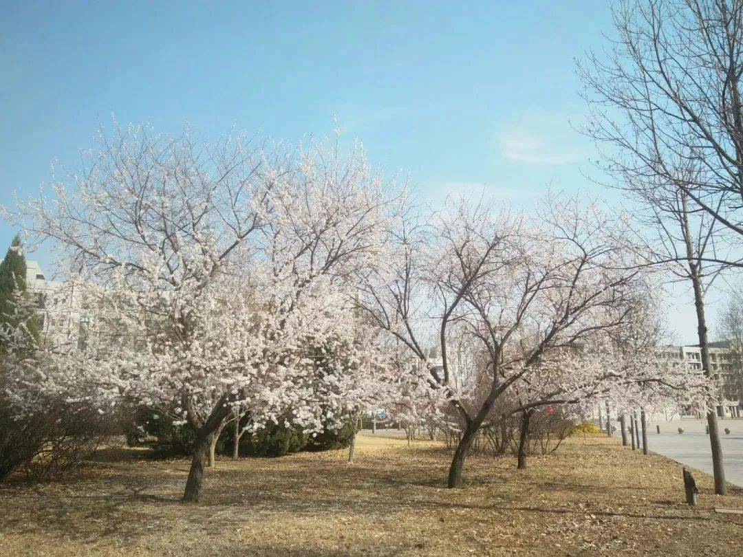 高校资源较匮乏省将新增一所公*本科办**高校，承接一所独立学院建设