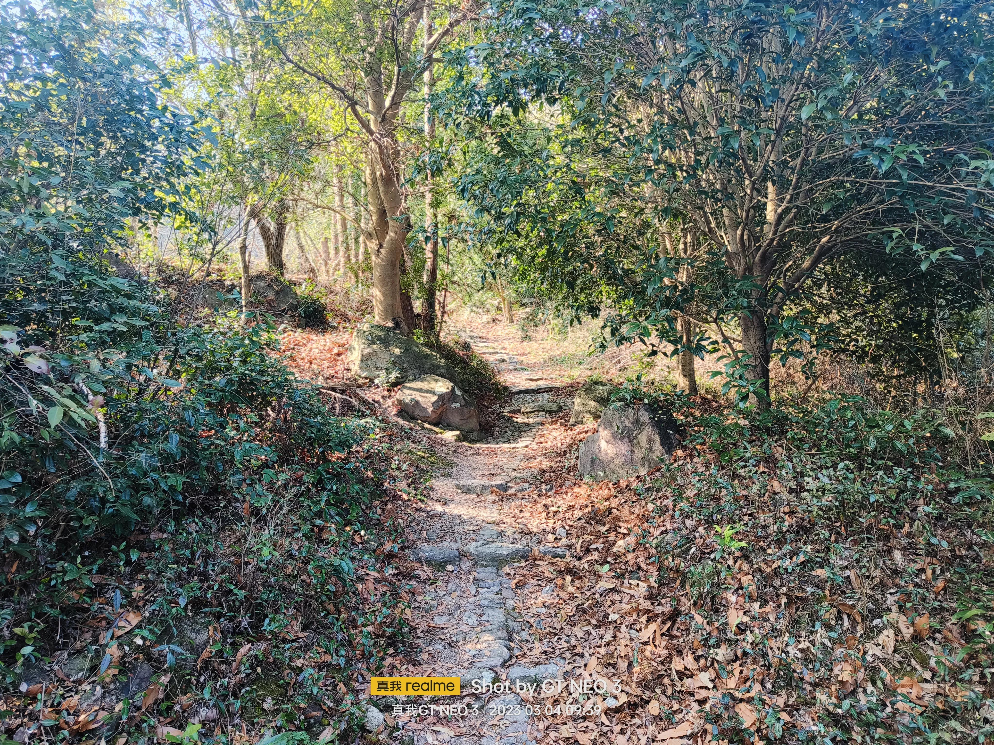 宁波五龙潭攻略,宁波五龙潭湖