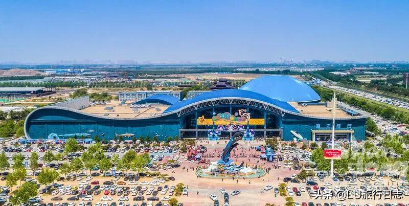 夏至|蝉鸣惊半夏，乐园极地纳清凉