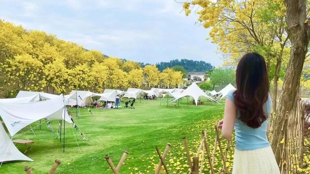 特种兵式旅游适合去哪里,特种兵式旅游怎么规划路线