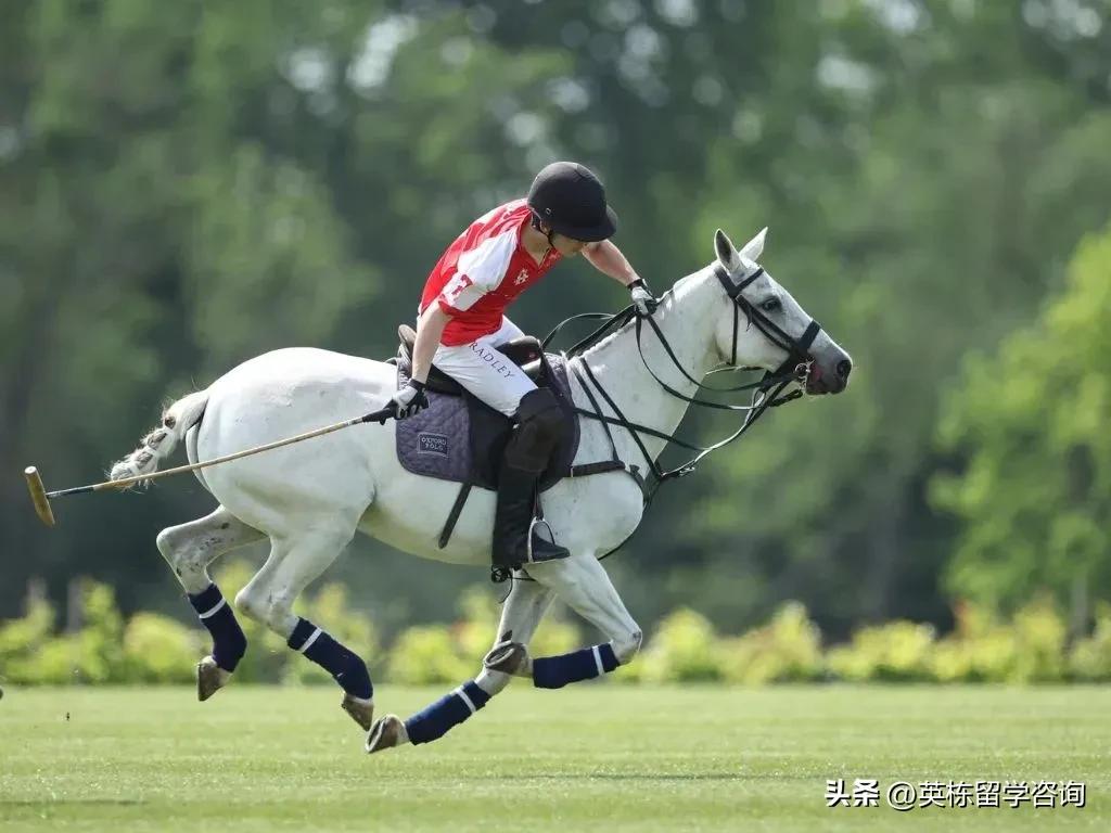 英国radley拉德利学院,英栋