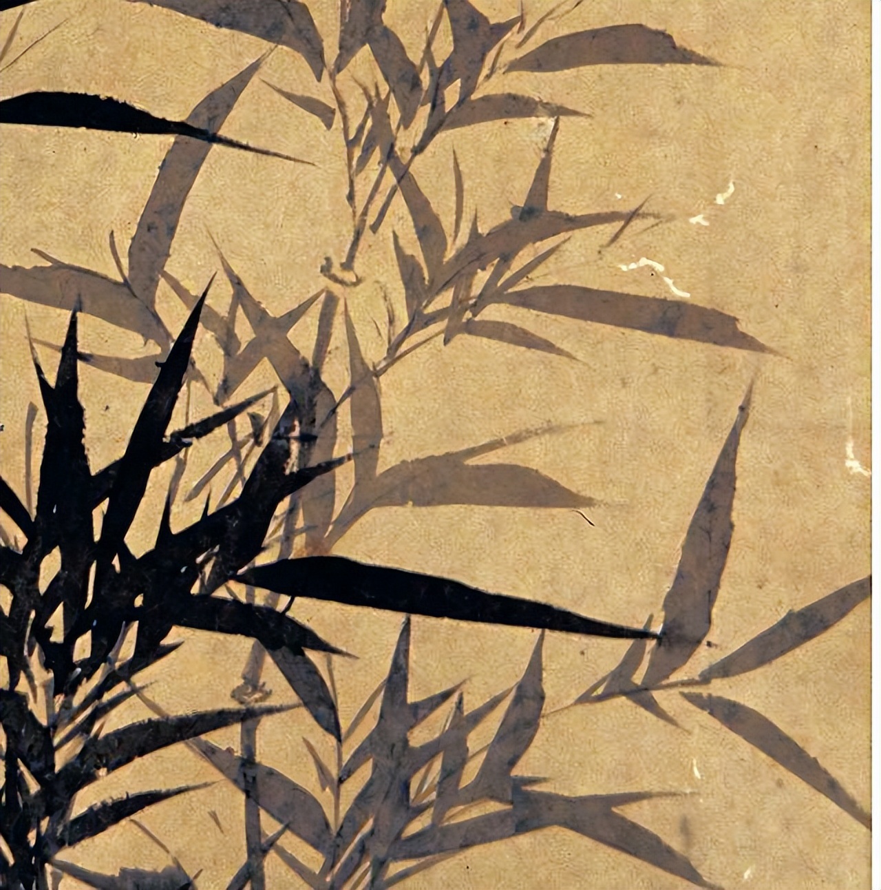 咏竹有名古诗词100首,咏竹古诗大全