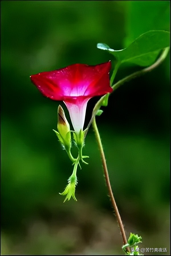 如何驱赶心中的恐惧,赶走焦虑好方法是什么