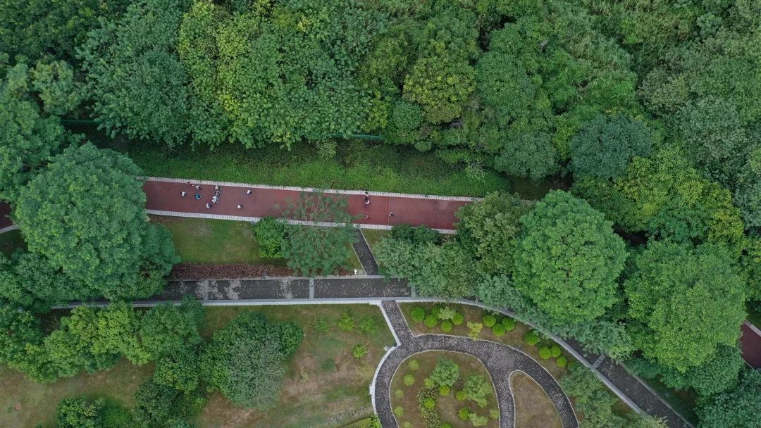 我为什么建议你留在一线城市,我为什么推荐你一定考北邮