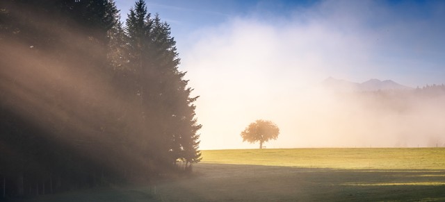 如何提升自己的认知能力,名人解析如何提升自己的认知能力
