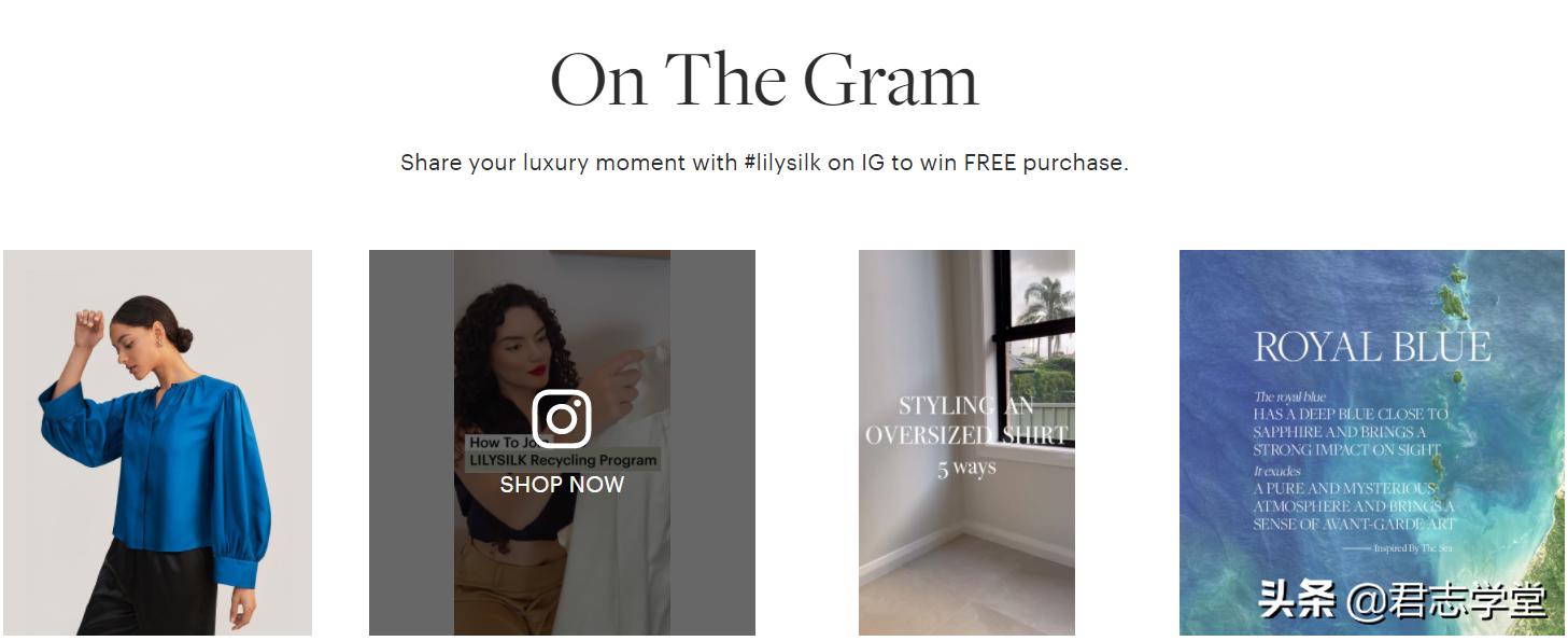 lilysilk专卖店是中国的牌子吗,lilysilk真丝枕头