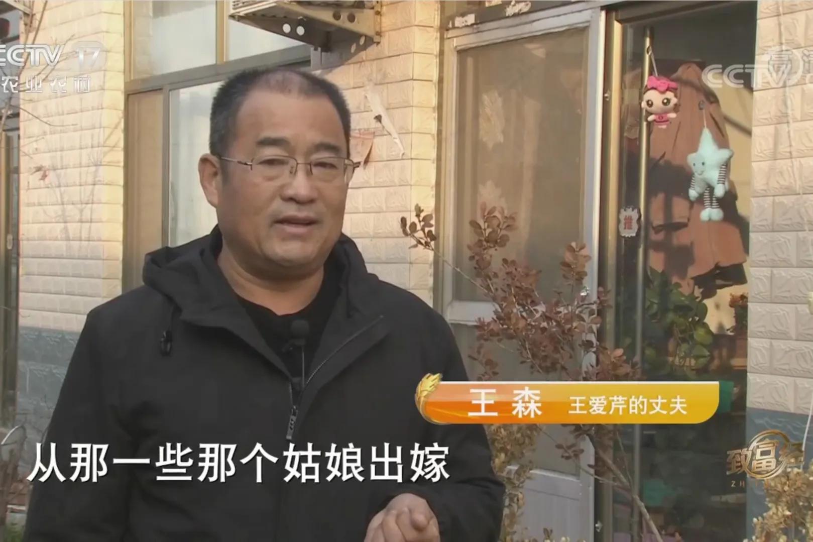 承包荒山致富的例子,美女承包52亩山地