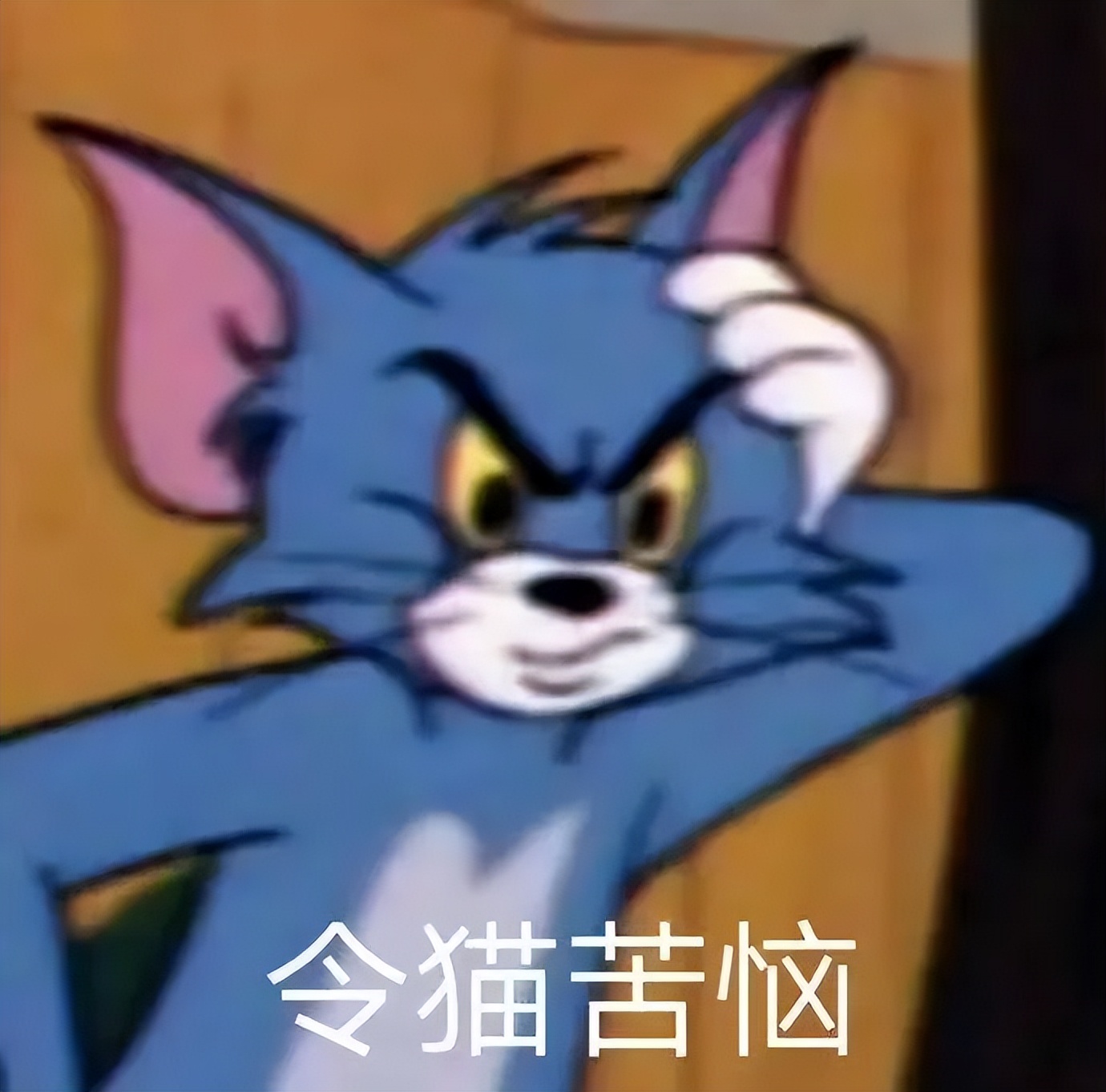 澳洲生活攻略澳洲公寓设计,澳洲生活需要注意什么