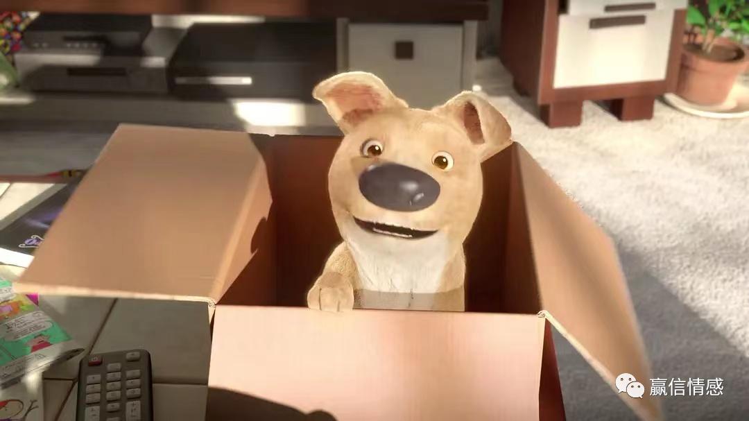 第一次送女朋友礼物送什么,追女生时要不要送手机