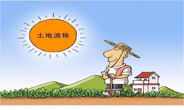 土地流转承包法,土地承包法关于土地流转的规定