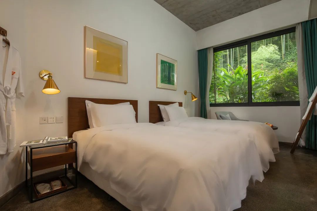 适合冬天去的民宿莫干山民宿,莫干山民宿天花板体验之旅