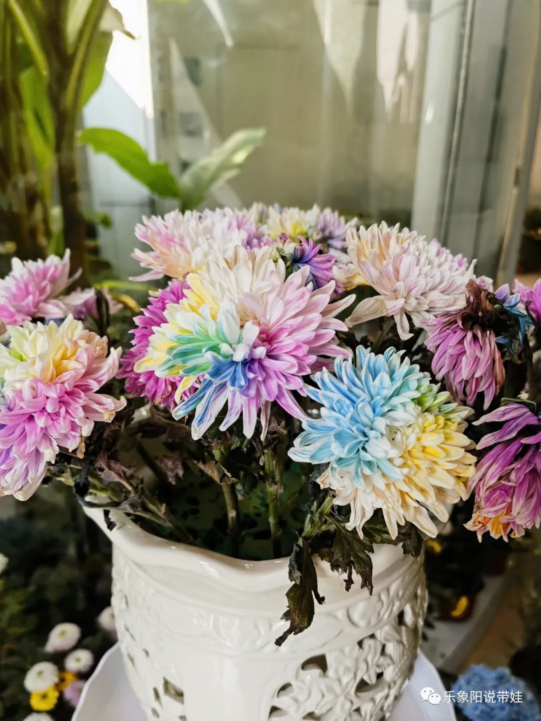 时间都去哪儿了小品完整版,时间都去哪儿了感悟