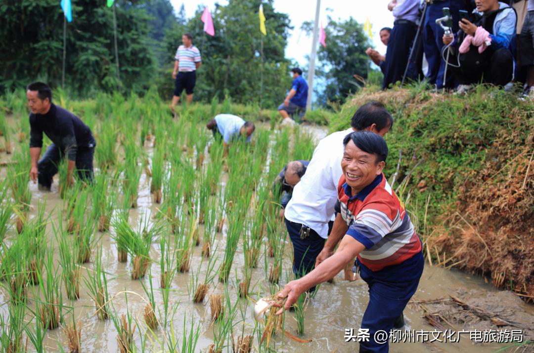 柳州小长假游玩攻略,秋游柳州滨水大道