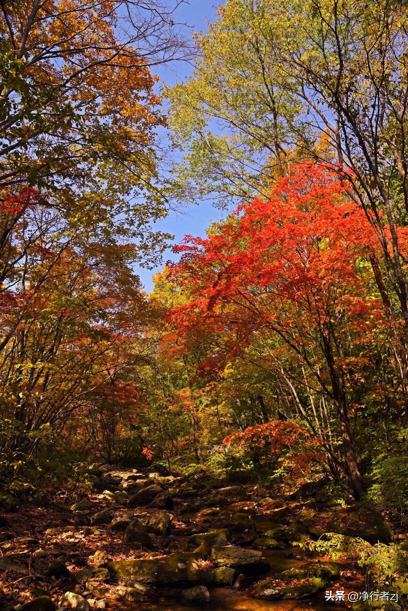 图们江口岸游记,从图们市到牡丹江自驾游
