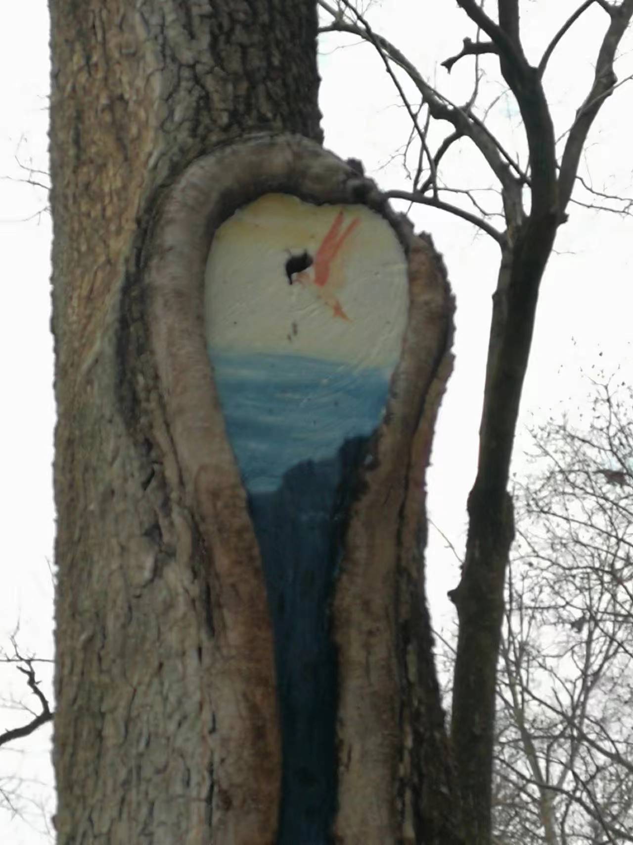 上海中山公园十大景观,上海中山公园新添8个树洞画