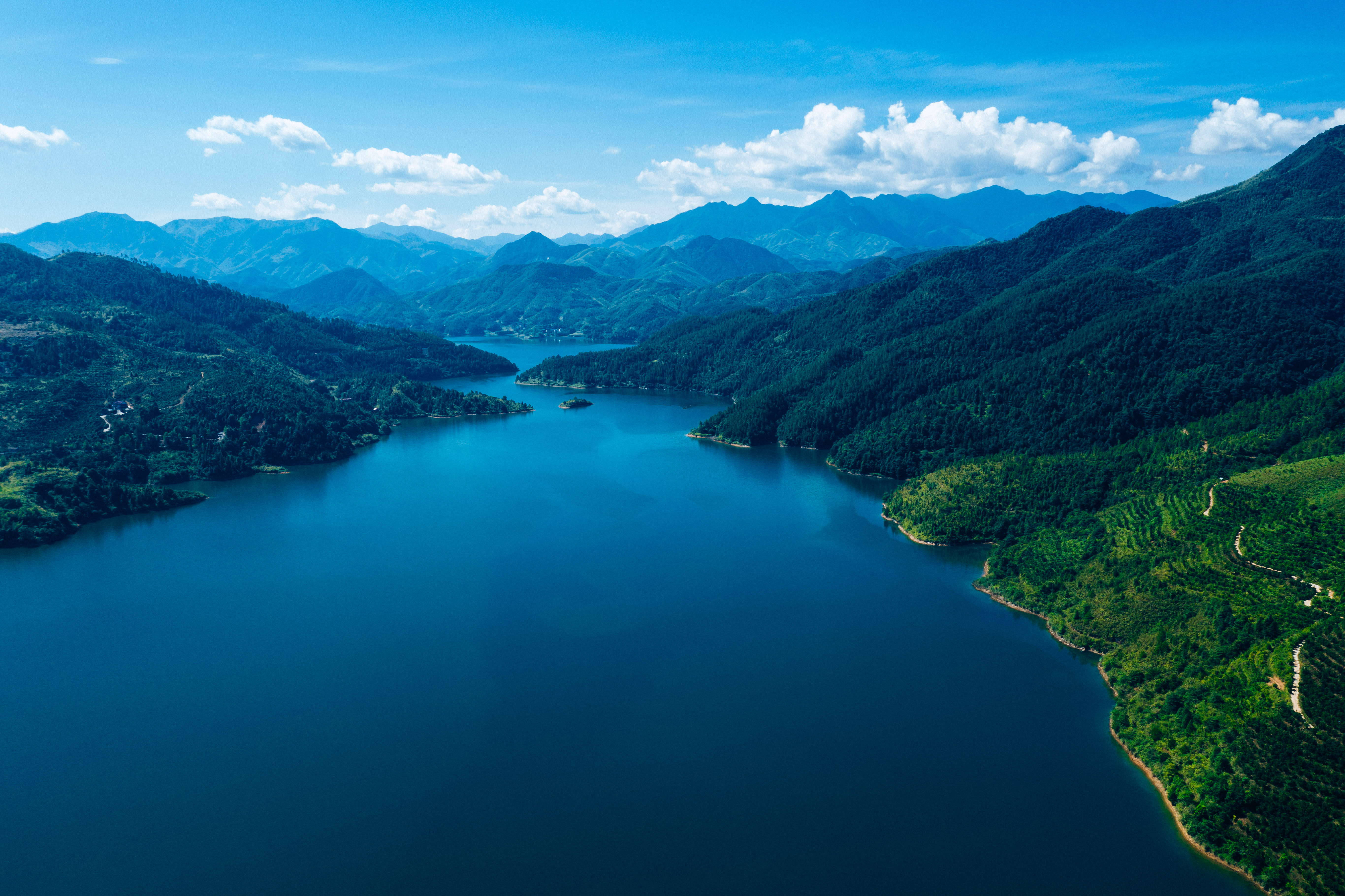 行游五府山：解密3宝，山野美味游走舌尖，传递平实的幸福
