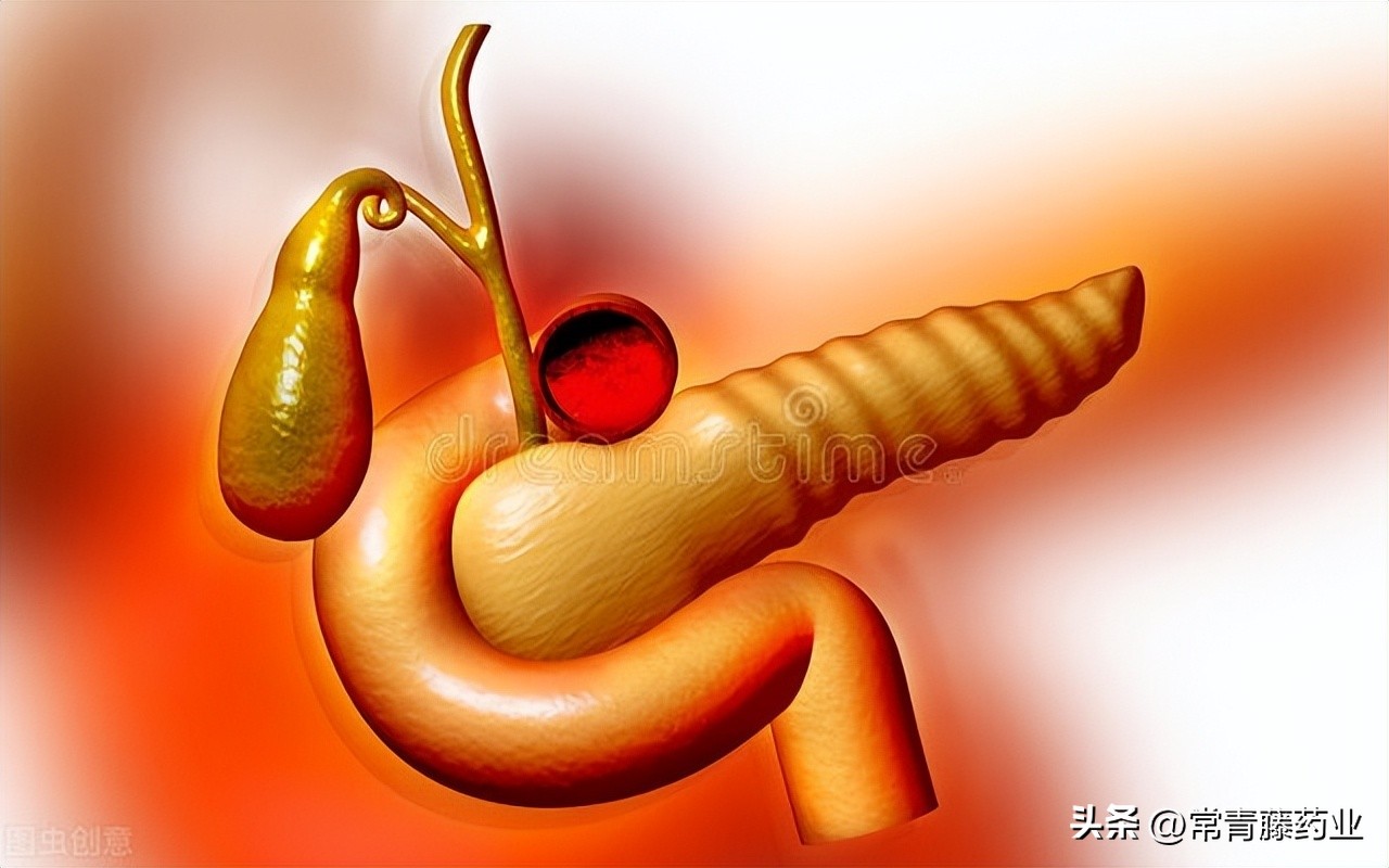 胰腺占位就是胰腺癌吗,体检发现胆囊可能有肿瘤