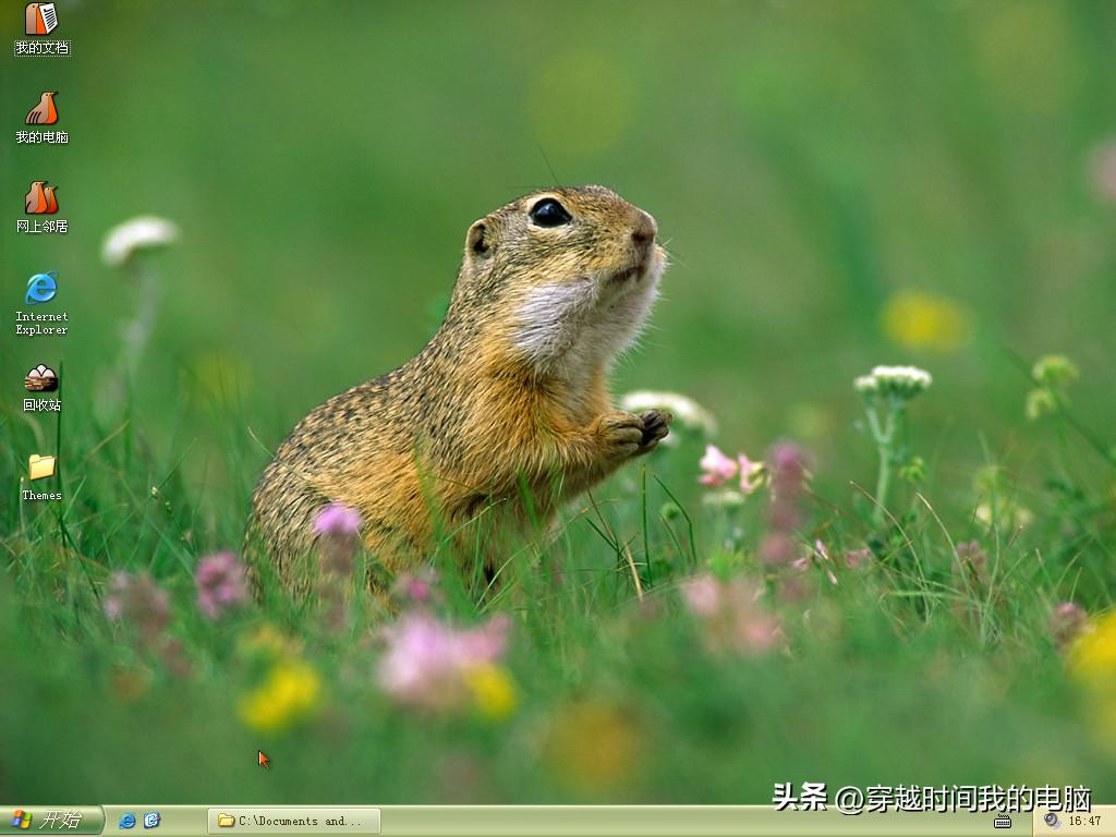 20骞村墠鐨剋indowsxp,windowsxp绌胯秺鏃跺厜