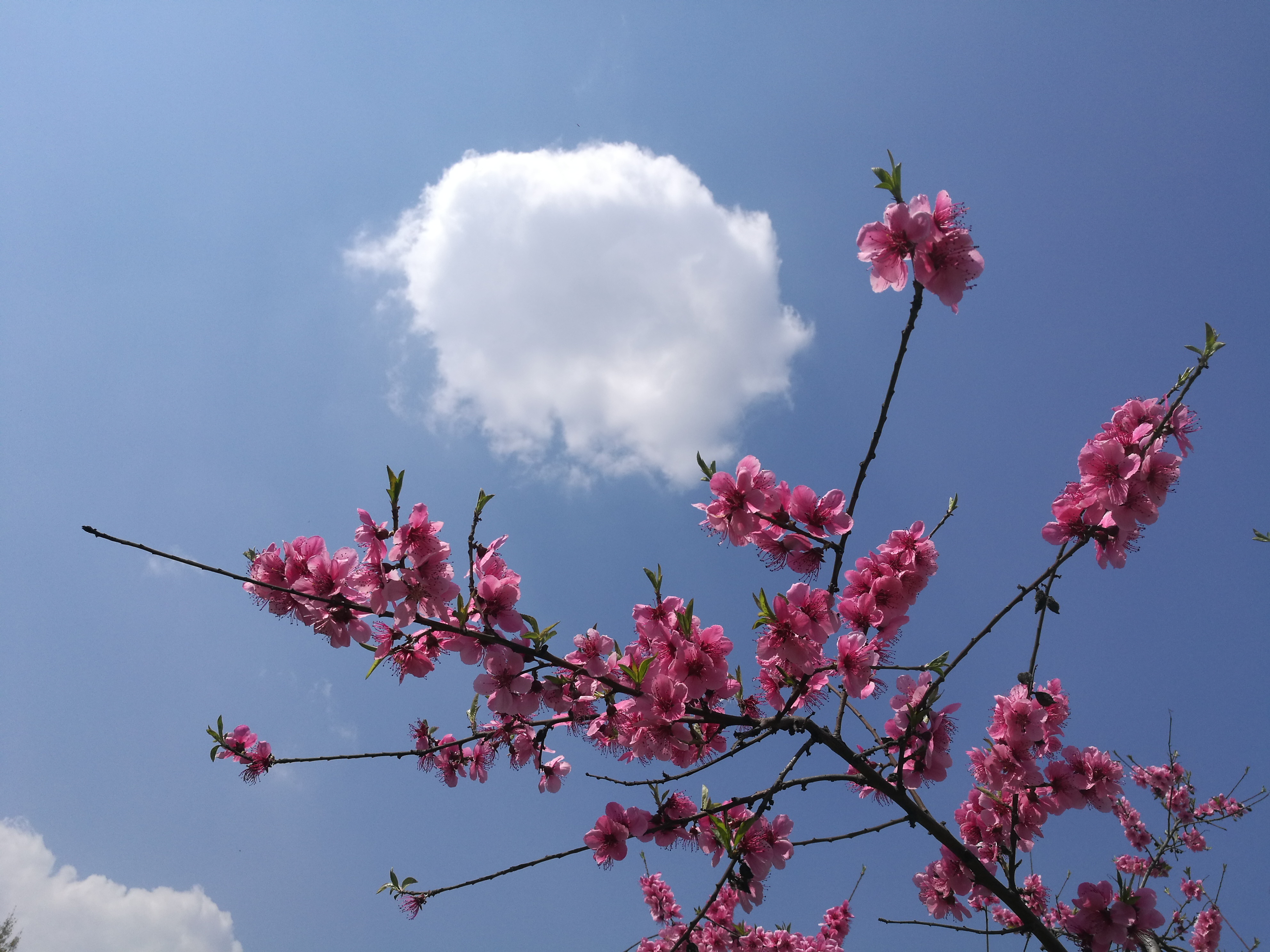 孔明的著作大全,孔明的散文