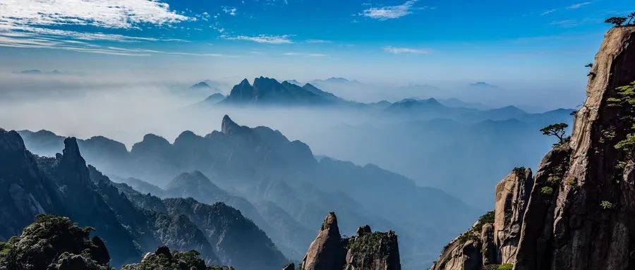 松动的政策能让旅行社在暑假“咸鱼翻身”吗？