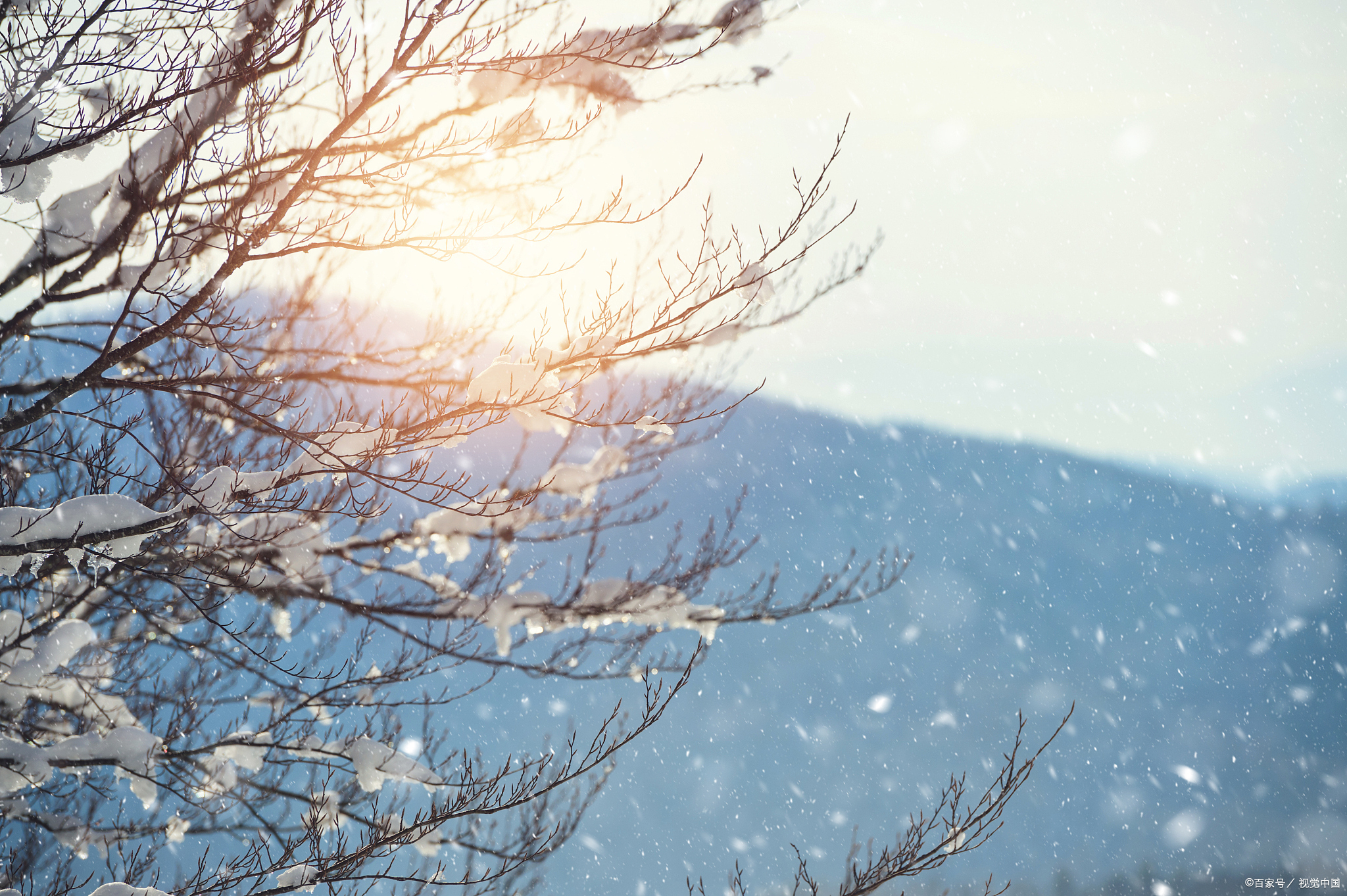 十首最美的冬日暖阳诗词,适合冬天的优美句子诗词