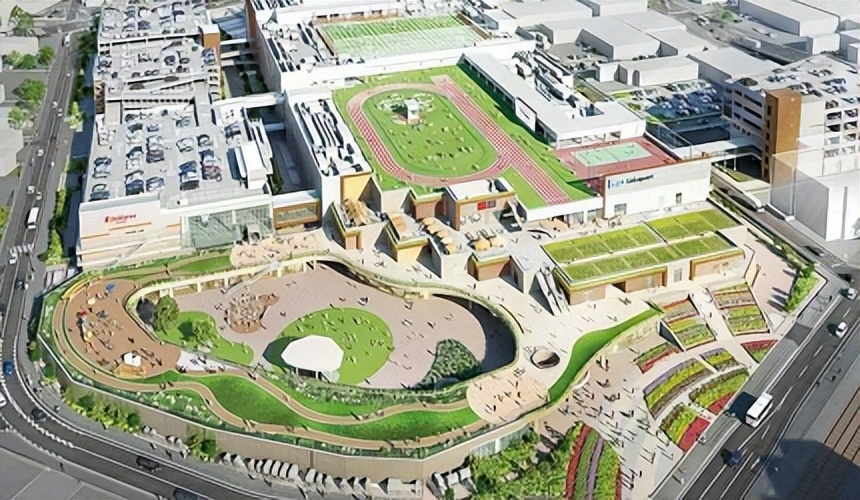 日本放开入境自由行首日,日本开放旅游了吗