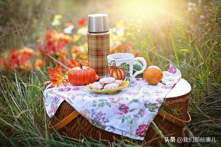 老了以后，宁可养花种草，也别搭理这三种人