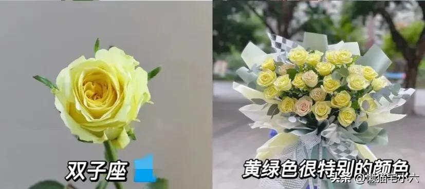 玫瑰花送你最浪漫,姑娘送一个玫瑰花给你