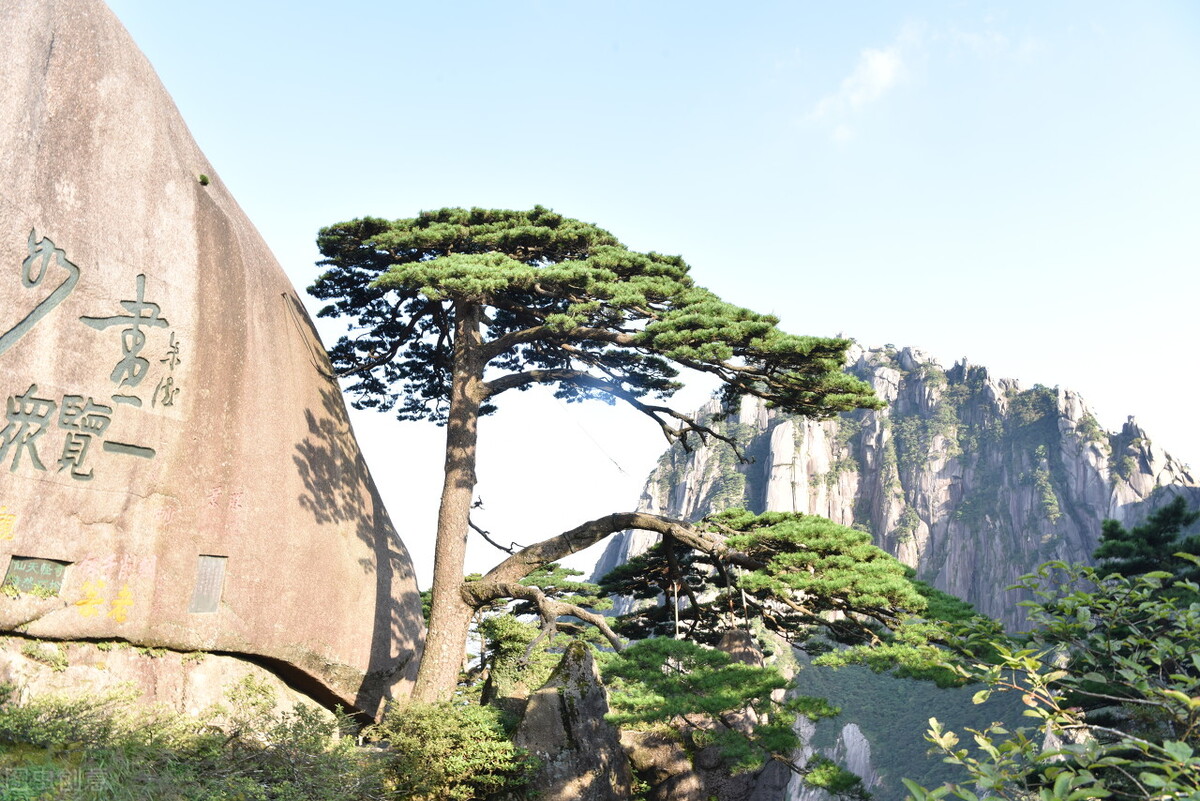 屯溪和黄山市,黄山景区与黄山屯溪的区别