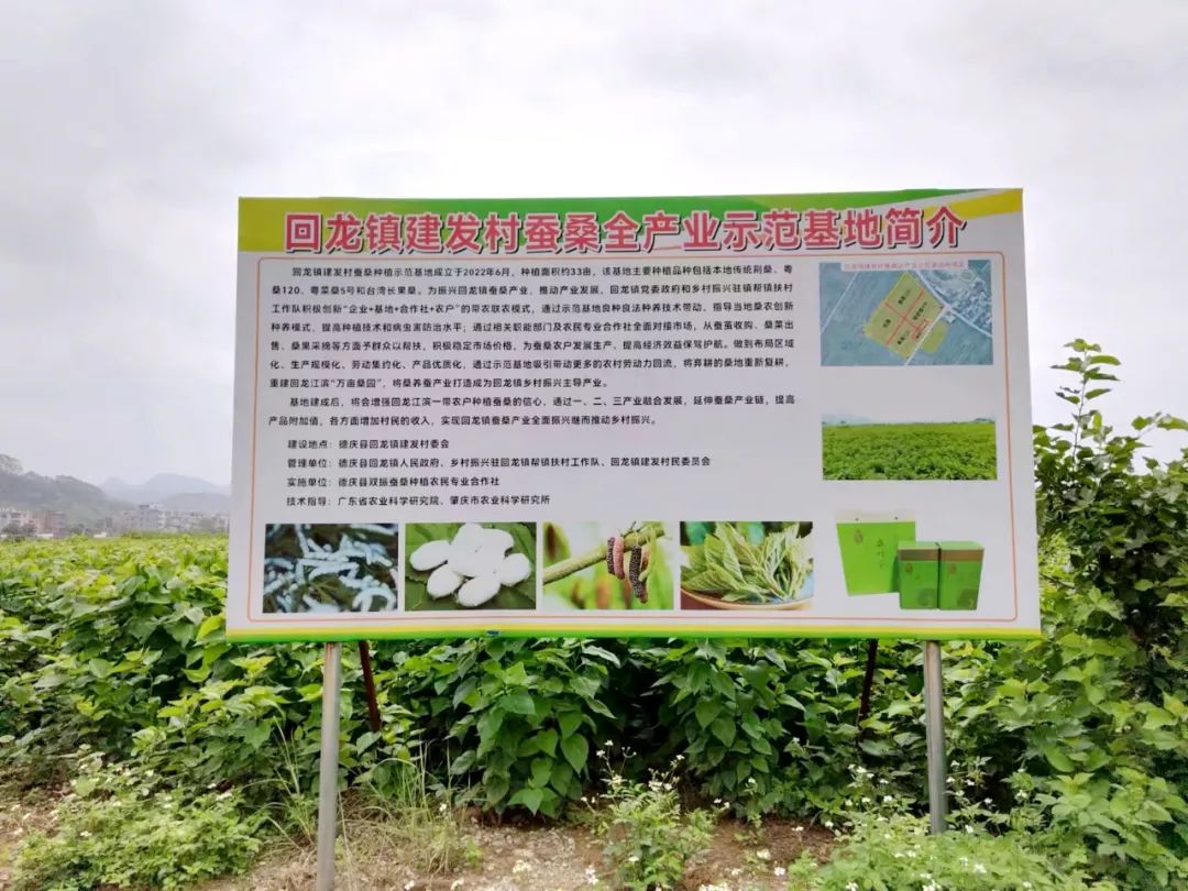 肇庆在建产业项目,肇庆招商引资项目集中签约