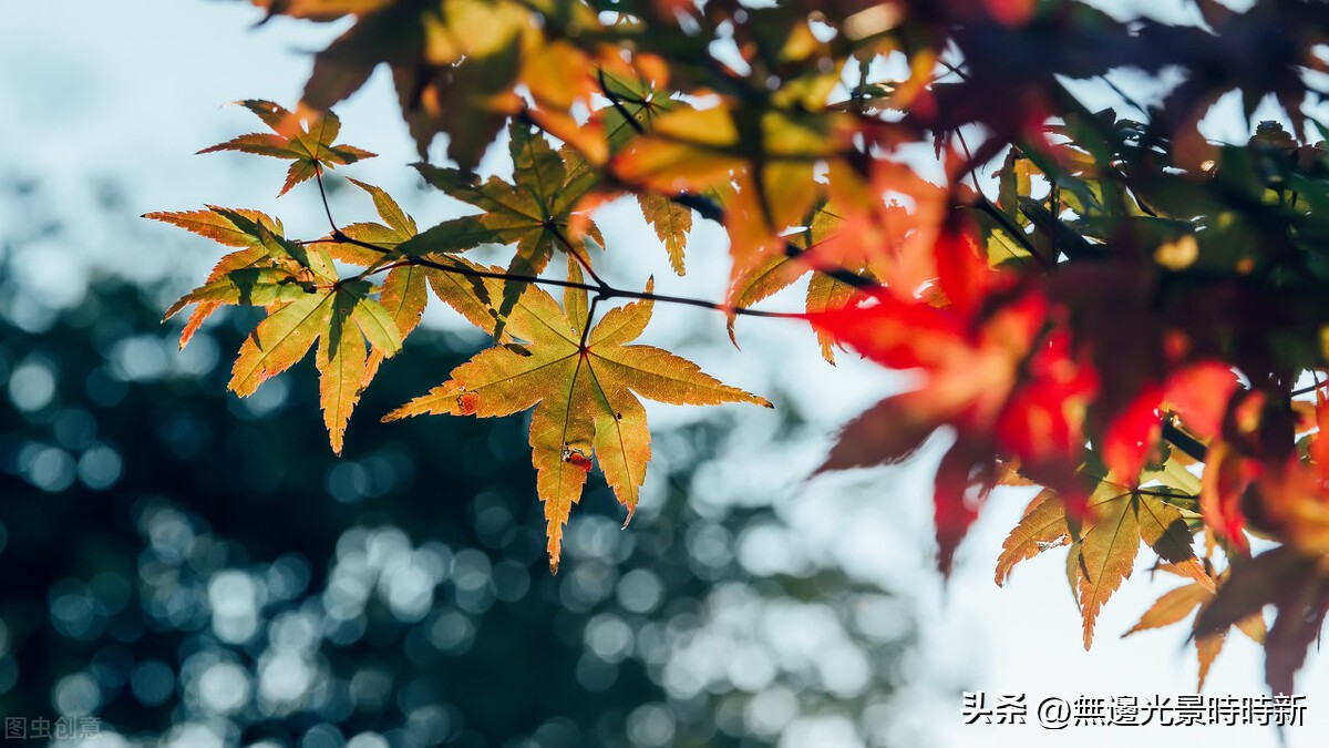 闺房对联大全,生活情趣四字对联