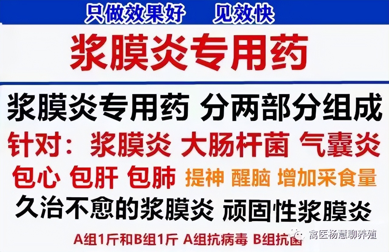 鸭禽流感初期症状,鸭禽流感症状怎么治