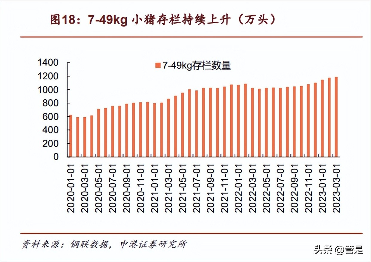 生物股份年报详解,生物股份2024年分析