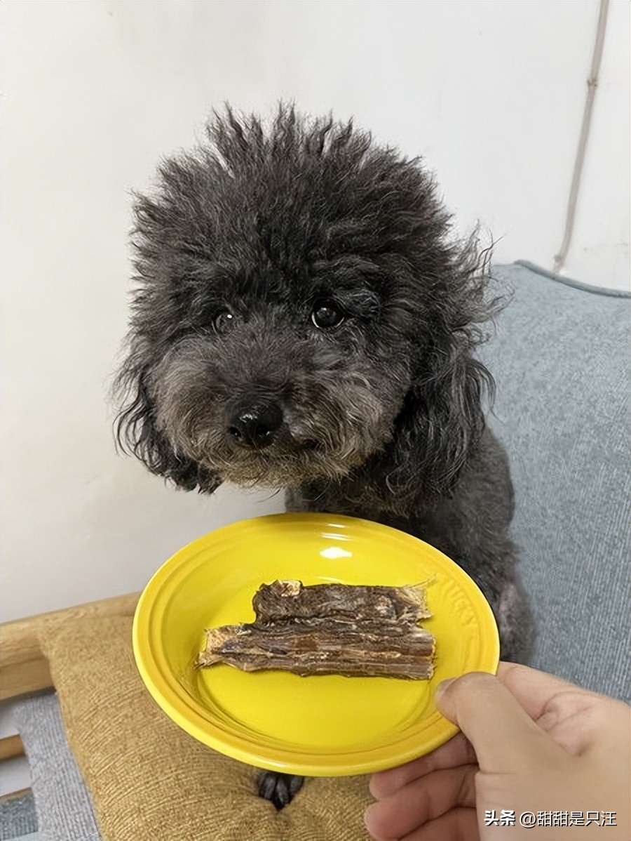 狗零食最好的牌子,6大狗零食种类分析测评