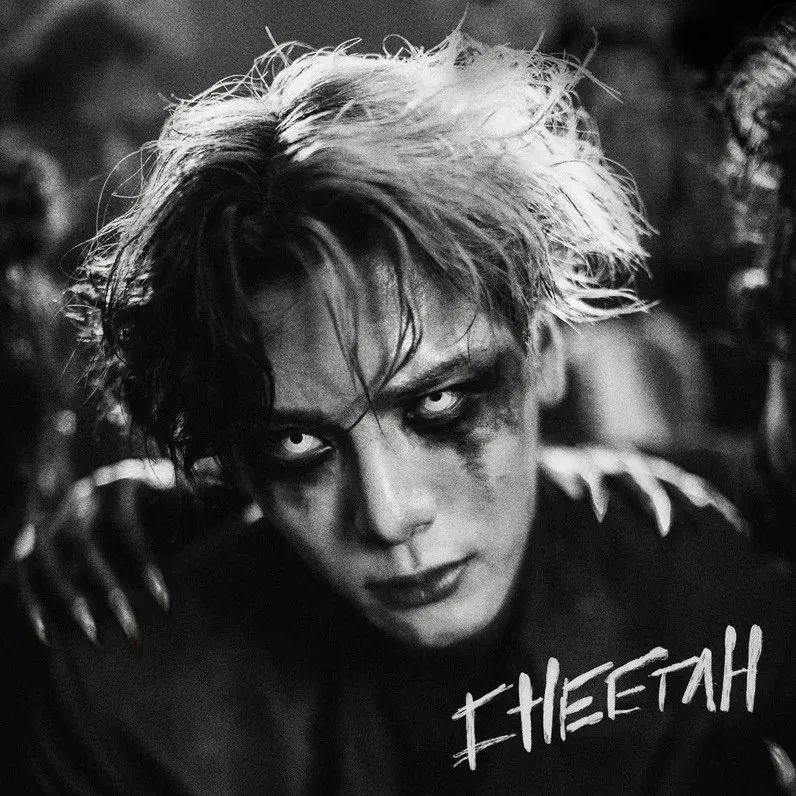 spotify最新信息,spotify会员低价区