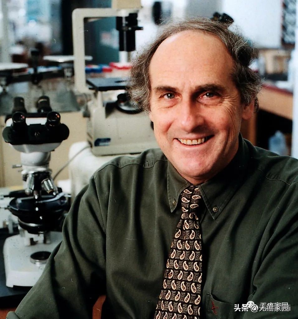 CAR-T、CAR-NK、癌症疫苗、TCR-T等细胞疗法，直击胰腺癌的软肋！