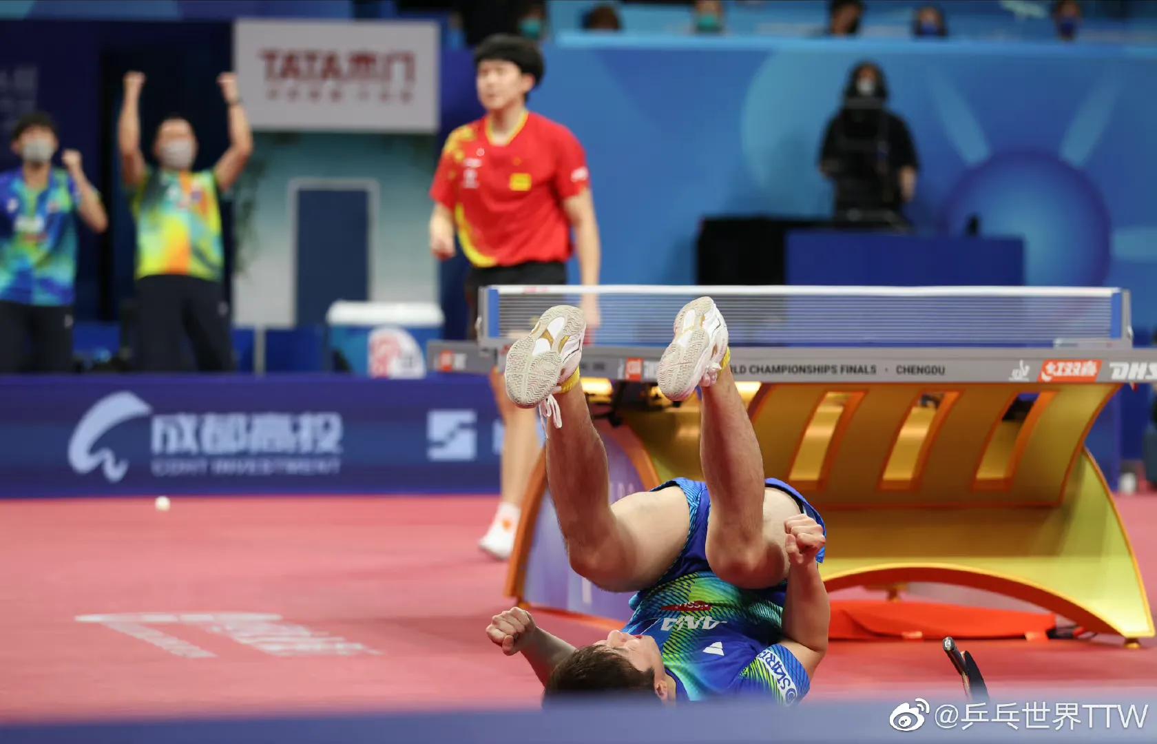 张本智和赢了樊振东和王楚钦,张本智和连赢王楚钦和樊振东