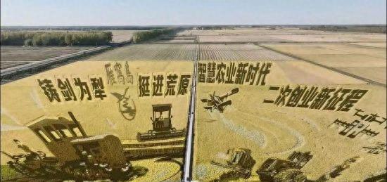 双鸭山市宝清县：水稻亩产增收180公斤