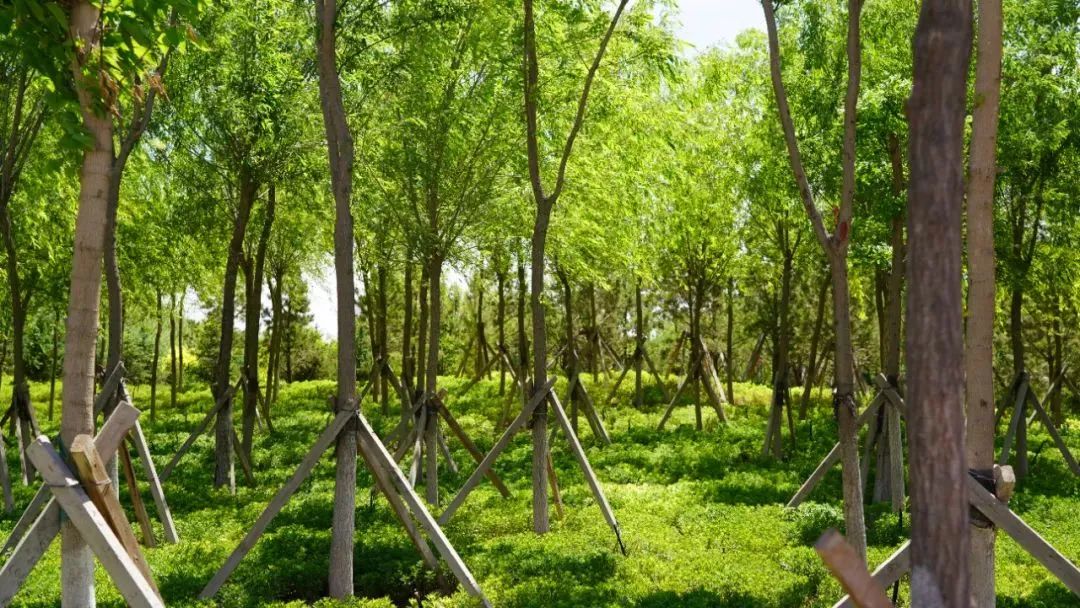 央媒网友热议,央媒密集关注点赞福建