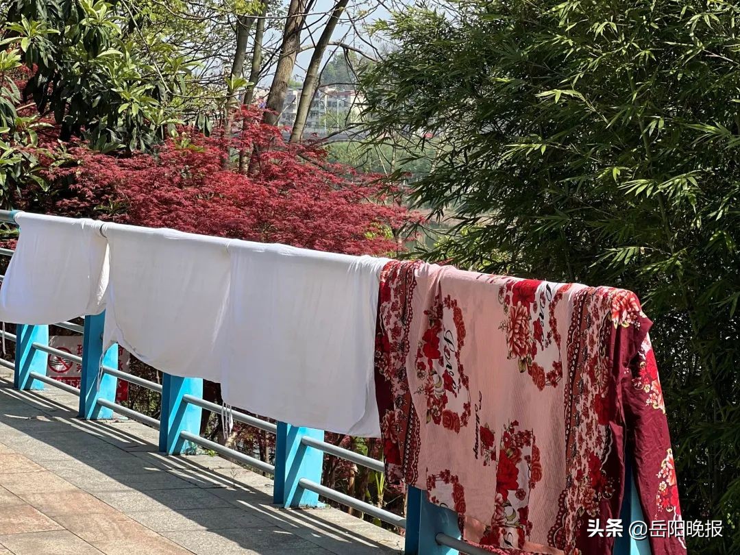 平江扫黄新闻最新消息今天,津市不文明行为曝光