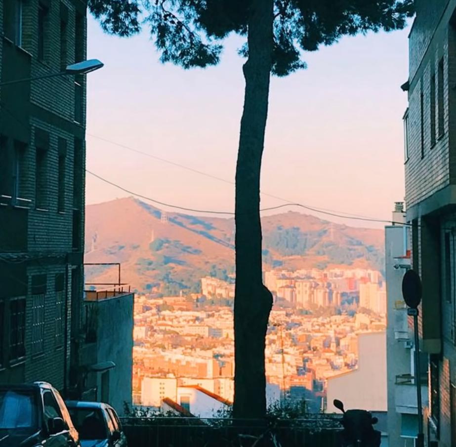 20张让人开怀大笑的猫咪照片,100张有趣猫咪照