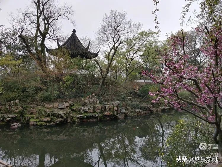 苏州游记之拙政园,苏州拙政园一日游攻略图片