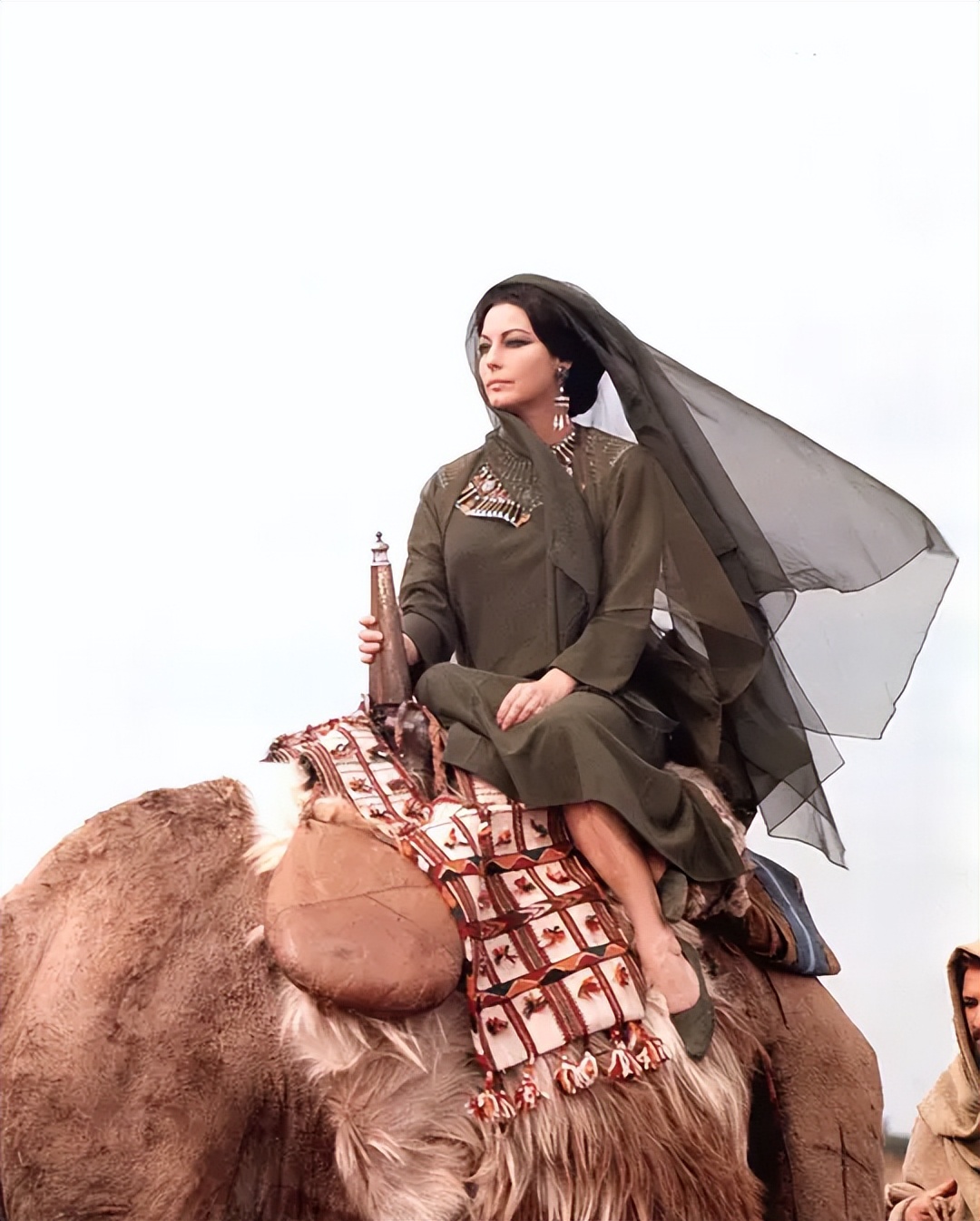 圣经电影创世时代,圣经中的意象及内涵